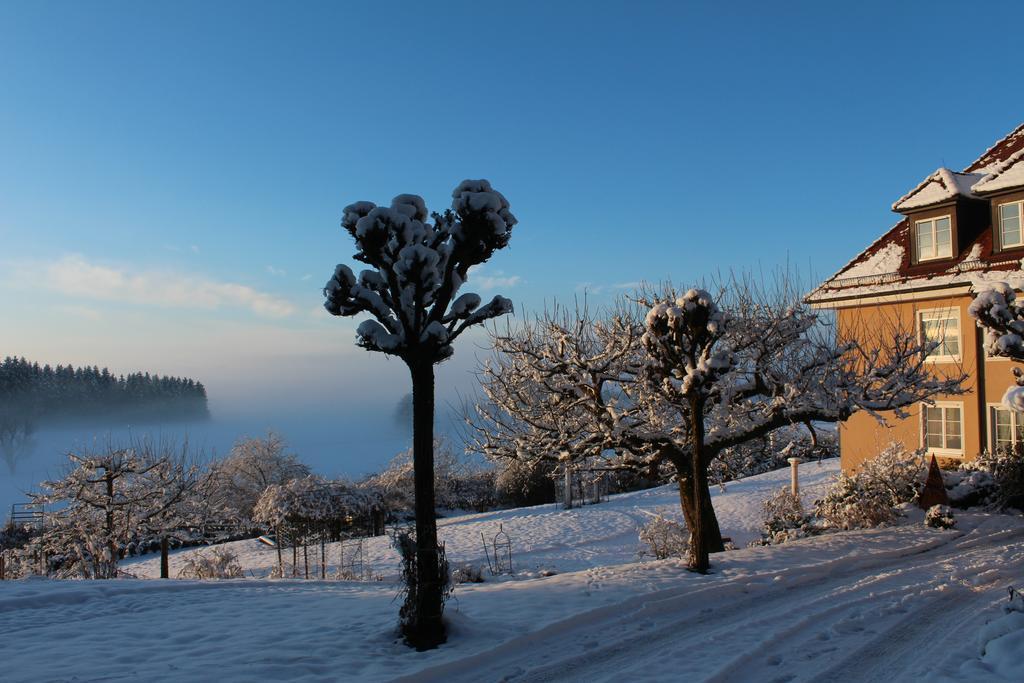 Gaestehaus Schloss Kronburg Zewnętrze zdjęcie